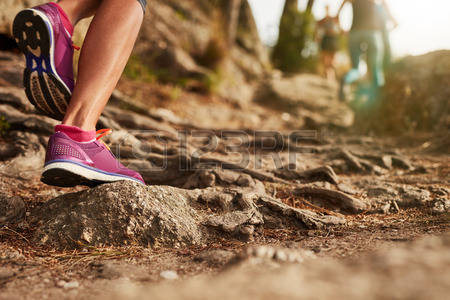 Pathologies du membre inférieur du coureur à pied : Prise en charge et options thérapeutiques